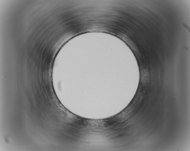 X0000100770856200807101749