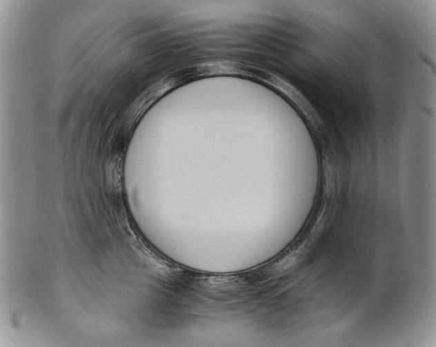 X0000100770857200807101749