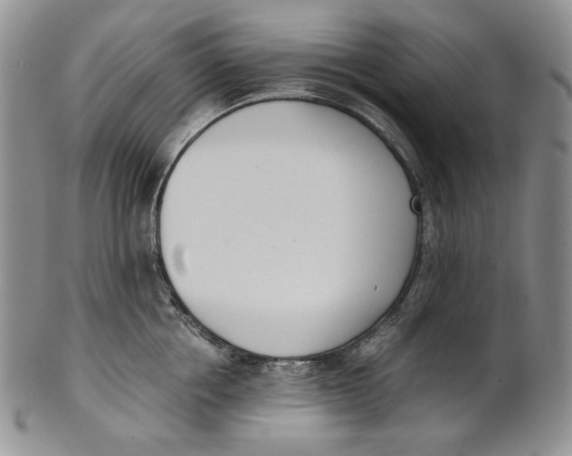 X0000100770858200807101749