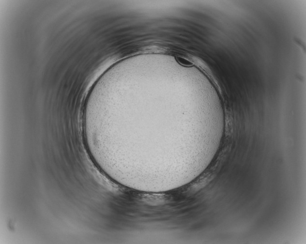 X0000100770859200807101749