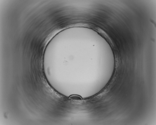 X0000100770860200807101749