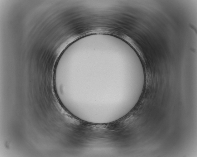 X0000100770861200807101749