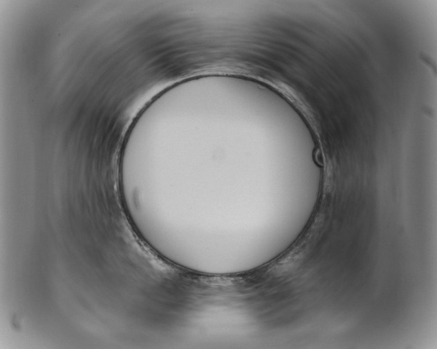 X0000100770862200807101749