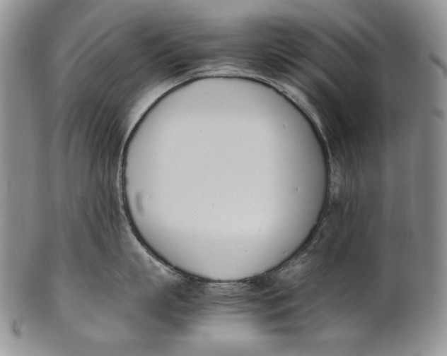 X0000100770863200807101749
