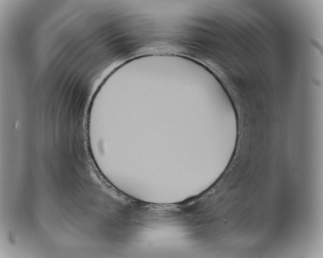 X0000100770864200807101749