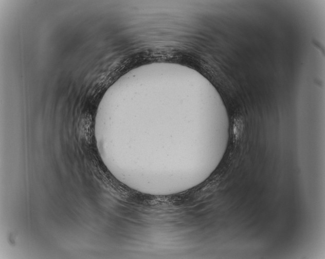X0000100770867200807101749