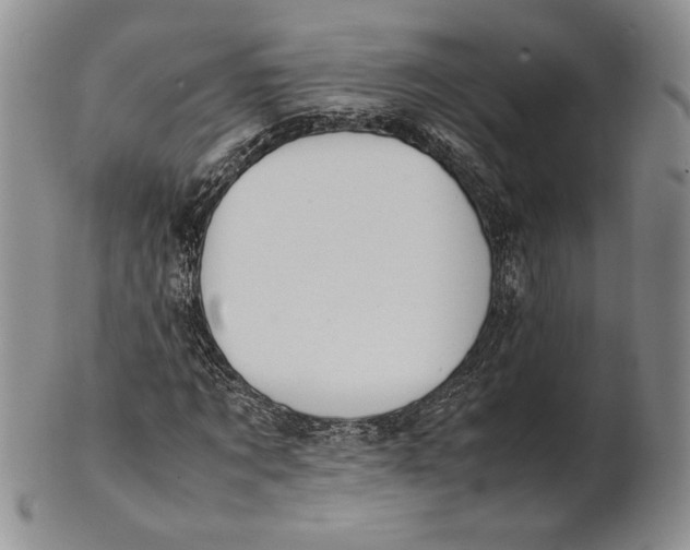 X0000100770869200807101749