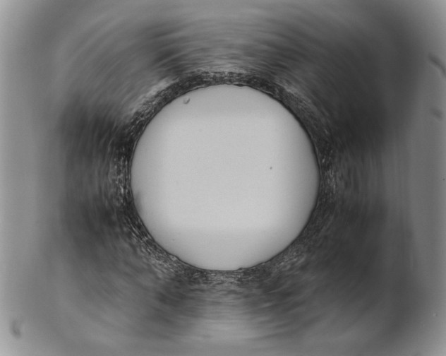 X0000100770870200807101749