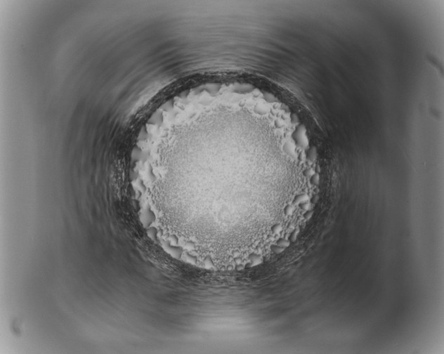 X0000100770871200807101749