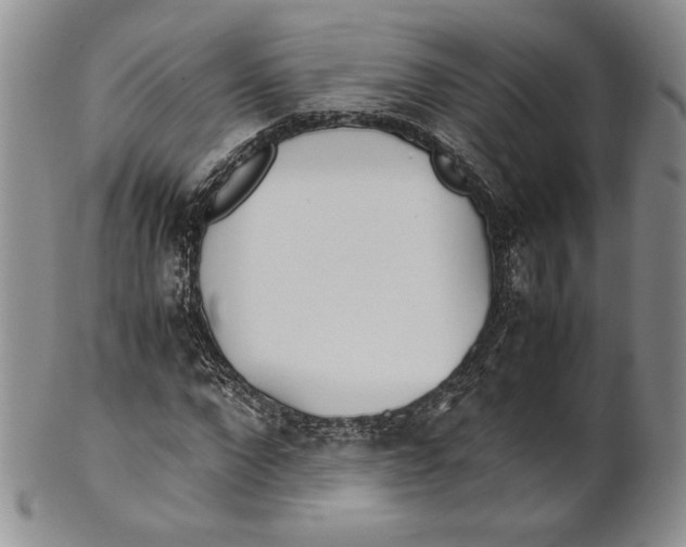 X0000100770872200807101749