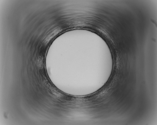X0000100770873200807101749