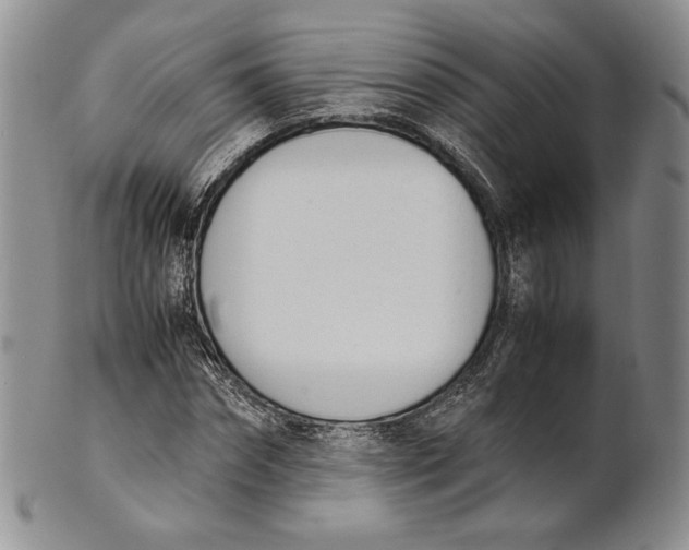 X0000100770874200807101749