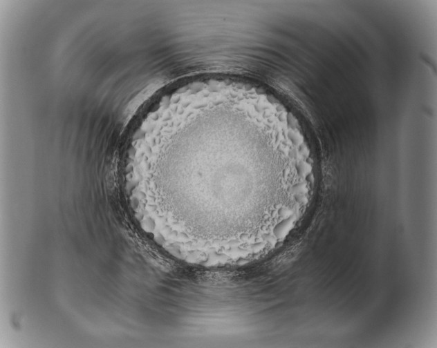 X0000100770875200807101749