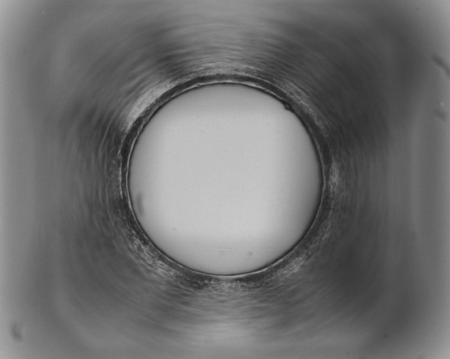 X0000100770877200807101749