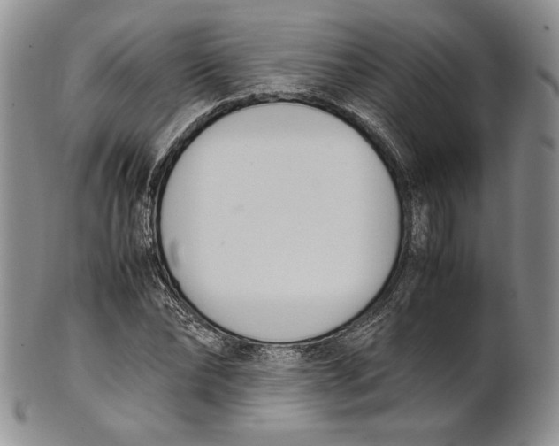 X0000100770878200807101749