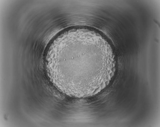 X0000100770879200807101749