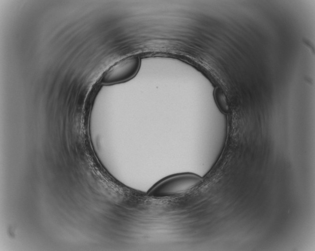 X0000100770880200807101749