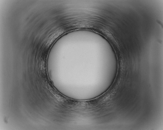 X0000100770881200807101749