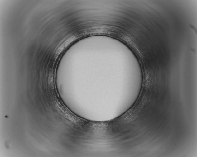 X0000100770882200807101749