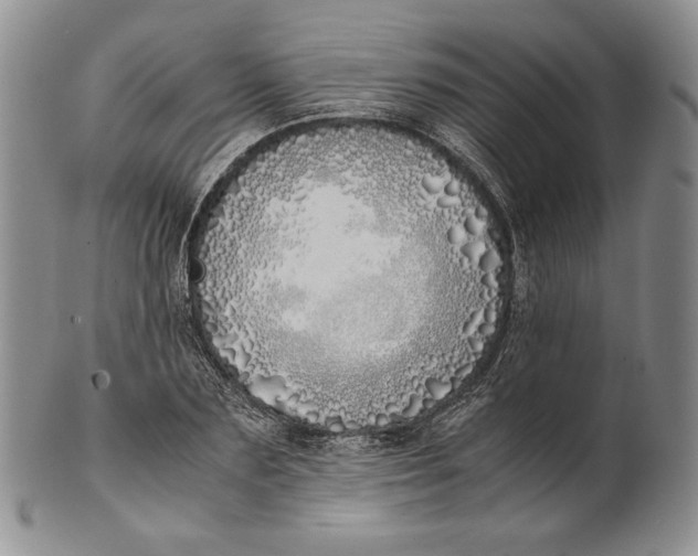 X0000100770883200807101749