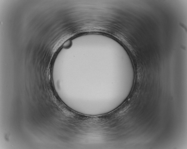 X0000100770885200807101748