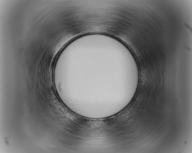 X0000100770886200807101748