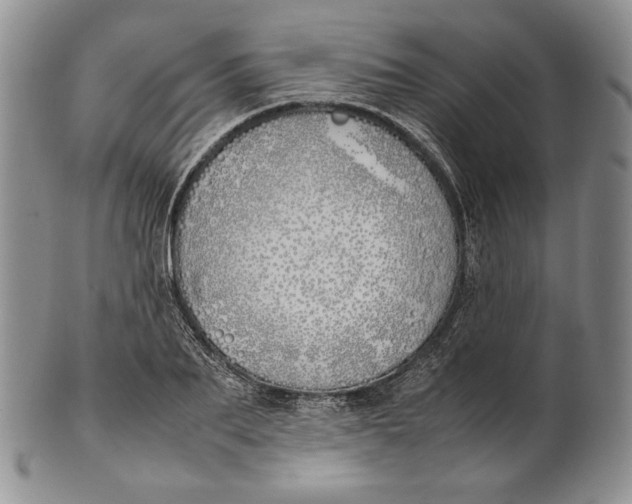 X0000100770887200807101748