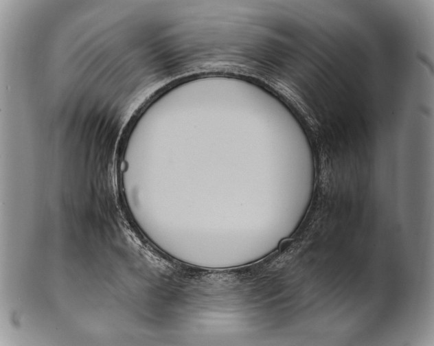 X0000100770888200807101748