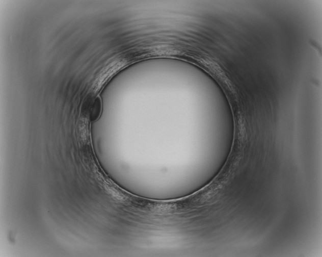 X0000100770889200807101748