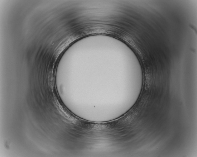 X0000100770890200807101748