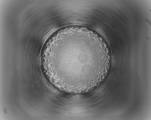 X0000100770891200807101748