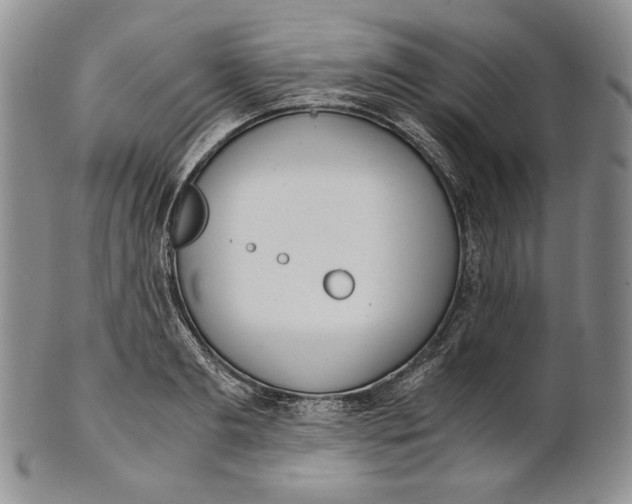 X0000100770893200807101748