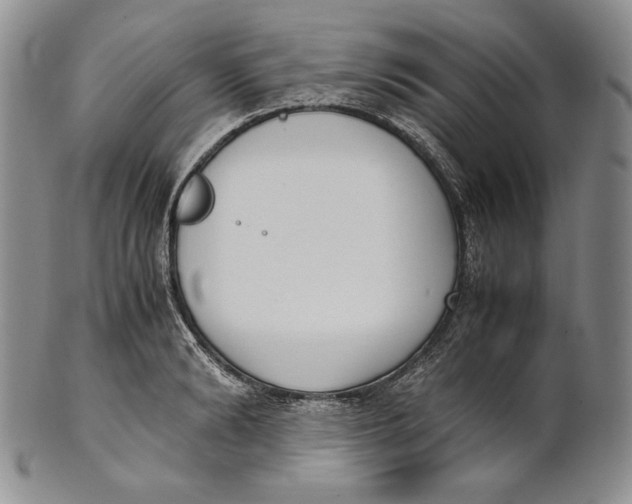 X0000100770894200807101748