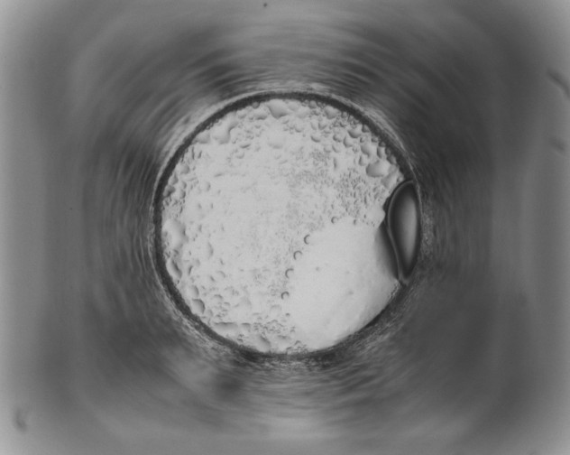 X0000100770895200807101748