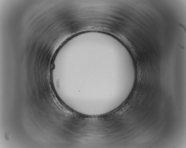 X0000100770896200807101748