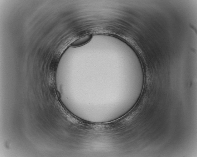 X0000100770897200807101748