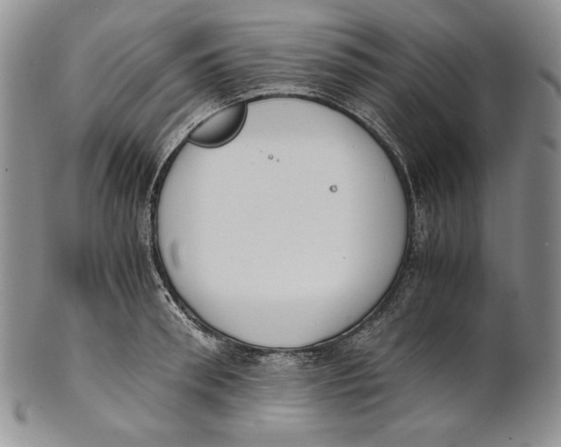 X0000100770898200807101748