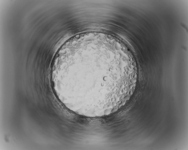 X0000100770899200807101748