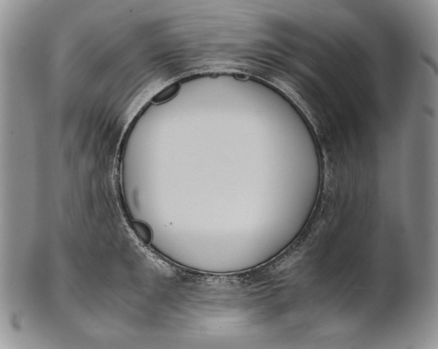 X0000100770901200807101748