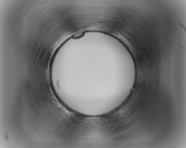 X0000100770902200807101748