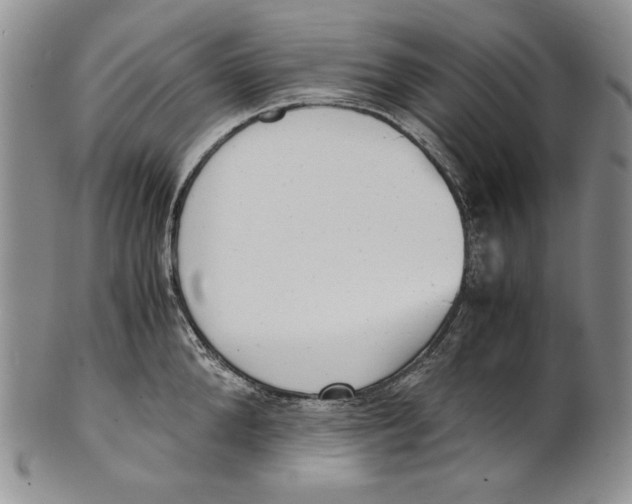 X0000100770904200807101748