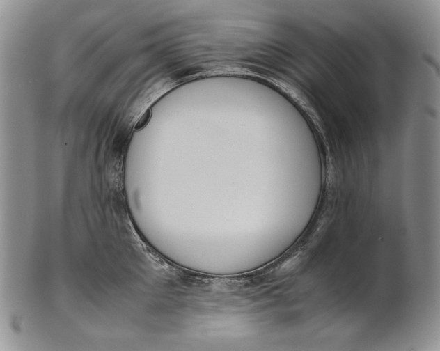 X0000100770905200807101748