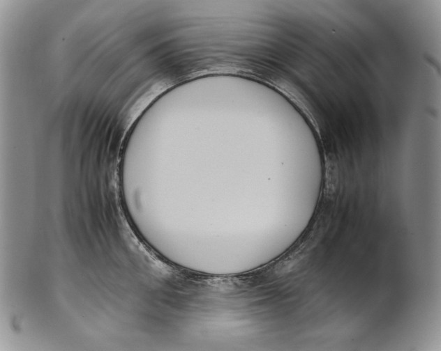 X0000100770906200807101748