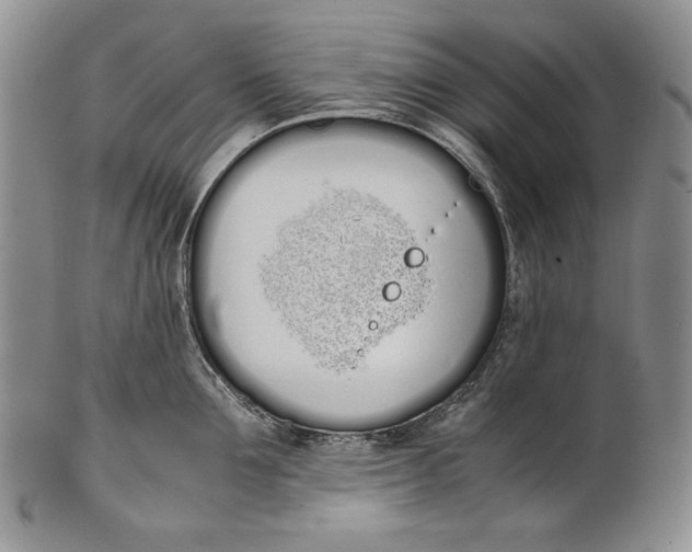 X0000100770907200807101748