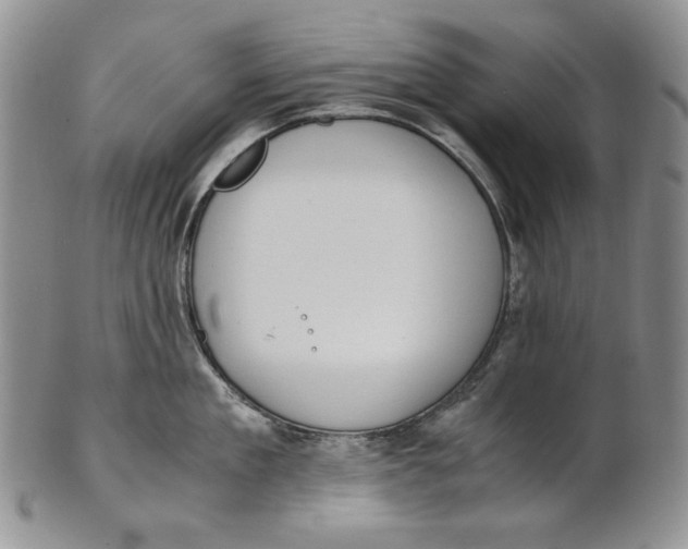 X0000100770909200807101748