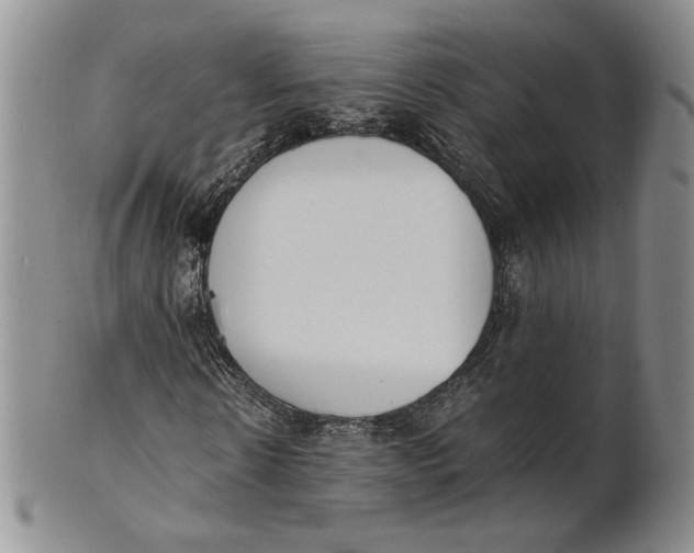 X0000100770914200807101747