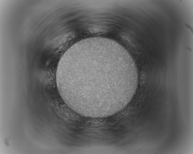 X0000100770917200807101747