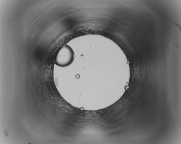 X0000100770918200807101747