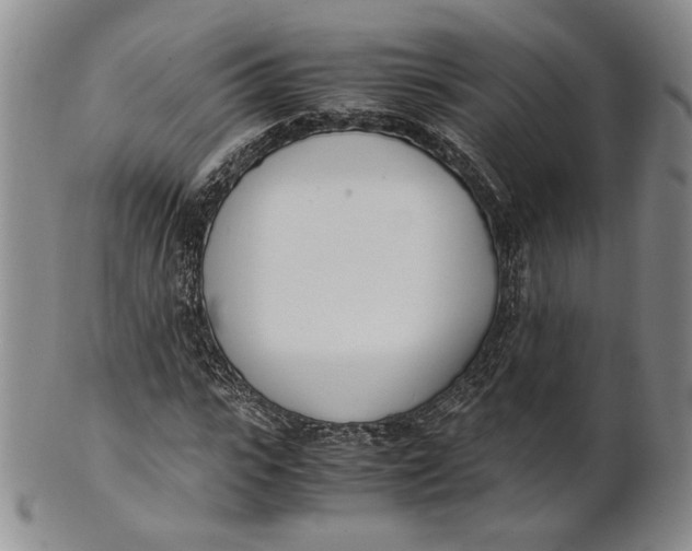 X0000100770919200807101747