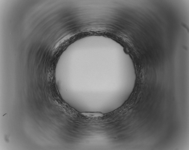 X0000100770920200807101747